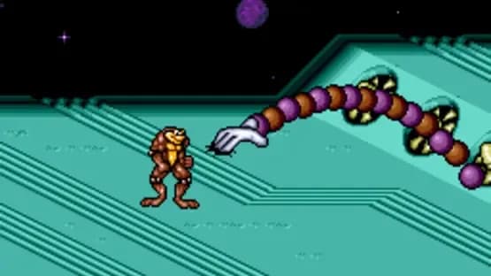 Battletoads / Double Dragon — Screenshots