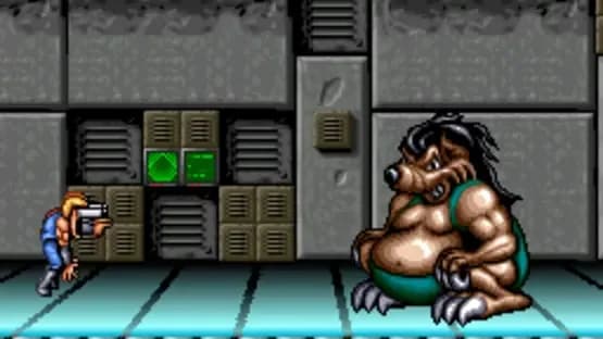 Battletoads / Double Dragon — Screenshots