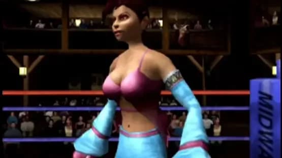 Ready 2 Rumble Boxing: Round 2 — Screenshoty