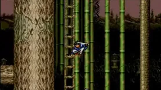3 Ninjas Kick Back — Screenshoty