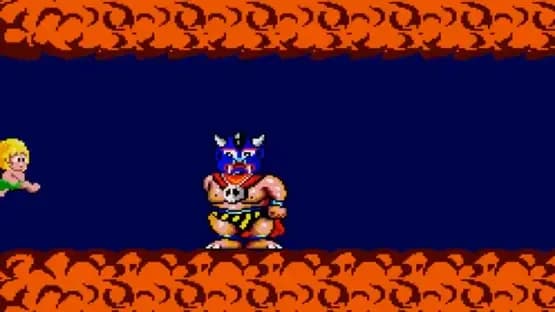 Wonder Boy — Screenshots