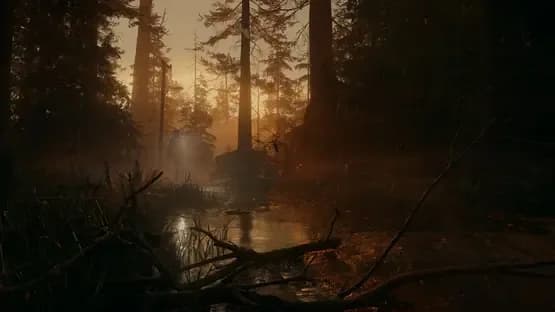 Alan Wake II — Screenshoty