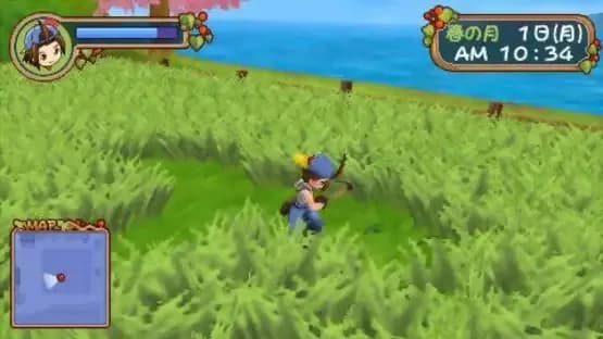 Harvest Moon: Hero of Leaf Valley — Screenshoty