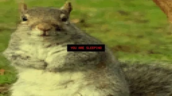 Squirrel Stapler — Screenshots
