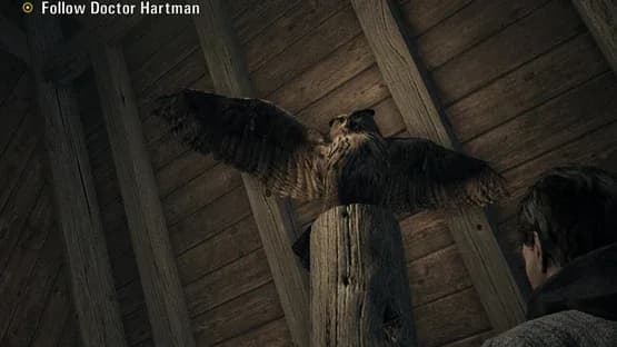 Alan Wake — Screenshoty