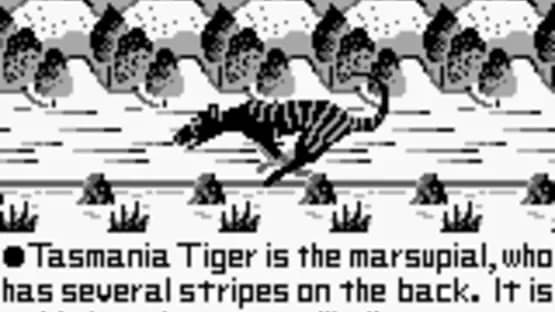 Tasmania Story — Screenshots