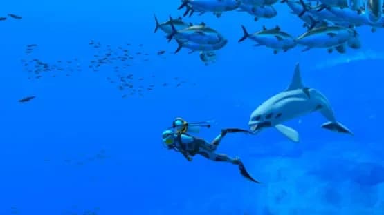 Endless Ocean: Luminous — Screenshots