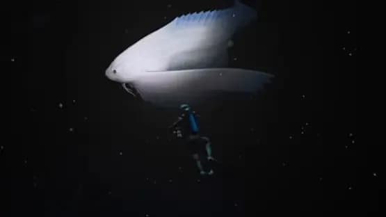 Endless Ocean: Luminous — Screenshots
