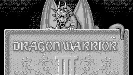 Dragon Warrior III — Screenshoty