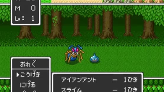 Dragon Quest I.II — Screenshoty