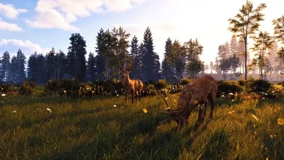 Windstorm: Start of a Great Friendship - Remastered — Screenshoty