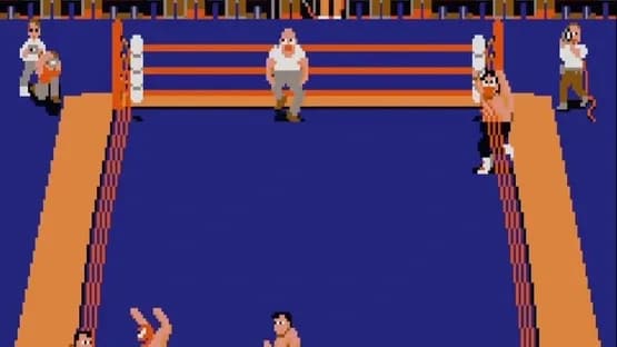 Tag Team Wrestling — Screenshoty