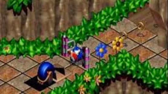 Sonic 3D Blast — Screenshots