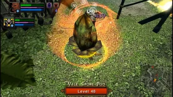 Dungeon Siege: Throne of Agony — Screenshoty