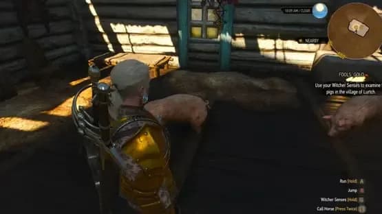 The Witcher 3: Wild Hunt - New Quest 'Fool's Gold' — Screenshoty
