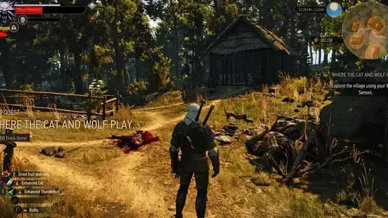 The Witcher 3: Wild Hunt - New Quest 'Where the Cat and Wolf Play...' — Screenshoty