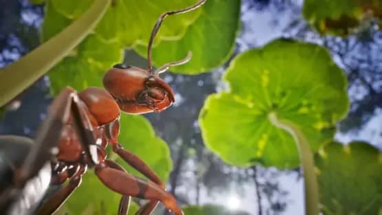 Empire of the Ants — Screenshoty