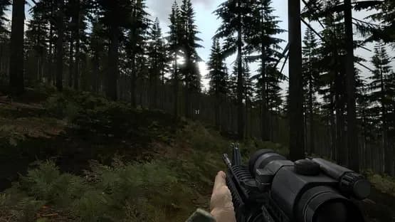 Arma 2 — Screenshoty