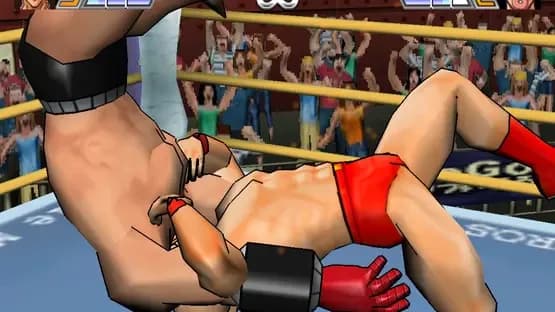 Ultimate Muscle: Legends vs. New Generation — Screenshoty