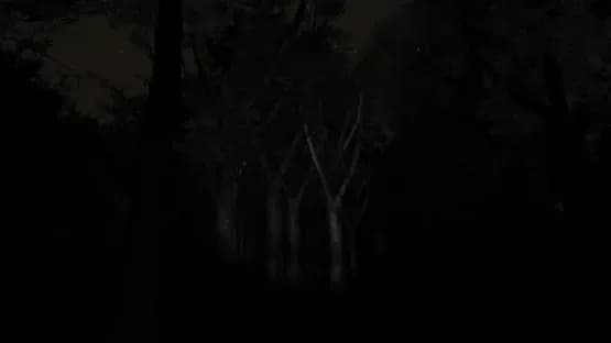 Slender: The Eight Pages — Screenshoty
