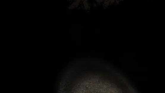 Slender: The Eight Pages — Screenshoty