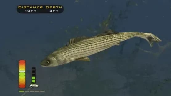 Bass Pro Shops: The Strike — Screenshots