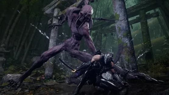 Ninja Gaiden 4 — Screenshoty