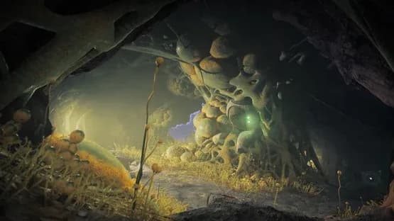 Destiny 2: The Edge of Fate — Screenshots
