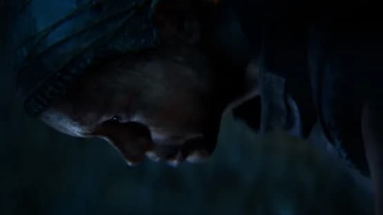 Senua's Saga: Hellblade II — Screenshoty