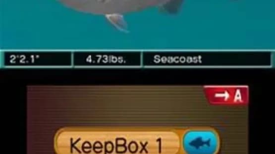 Reel Fishing Paradise 3D — Screenshoty