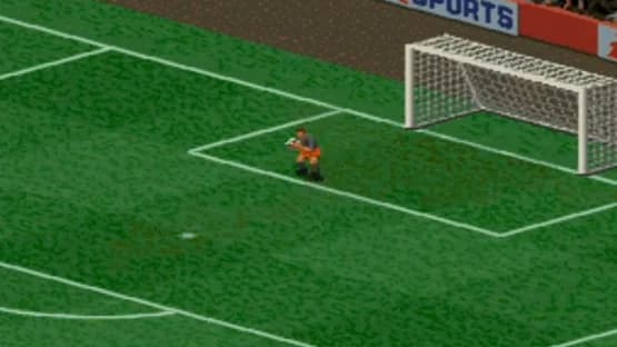 FIFA Soccer 96 — Screenshoty