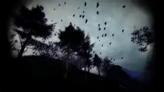 Light & Dark Bundle — Screenshots