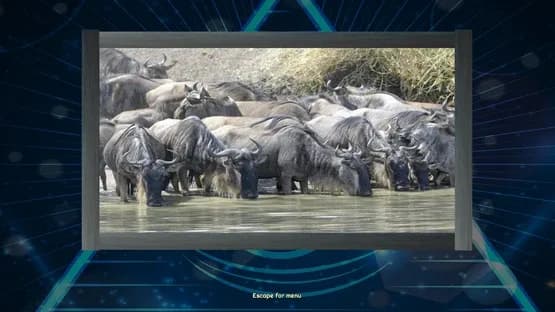 Trials of the Illuminati: Amazing Wildlife Jigsaws — Screenshots