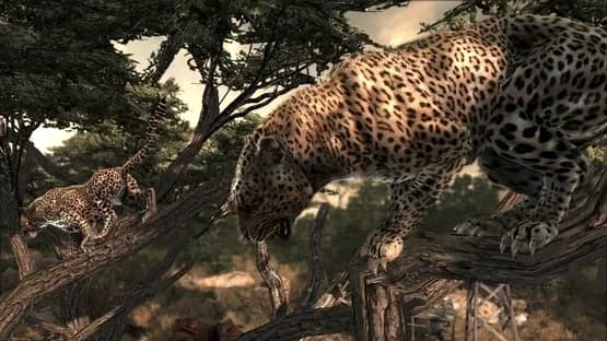 Cabela's Dangerous Hunts 2011 — Screenshoty