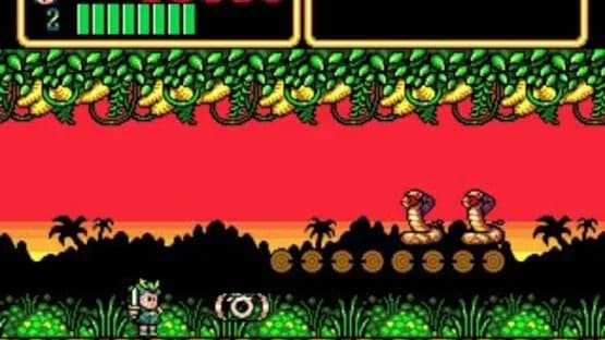 Wonder Boy III: Monster Lair — Screenshoty