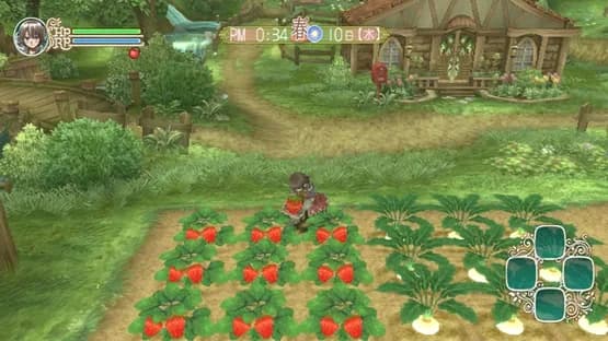 Rune Factory Frontier — Screenshoty