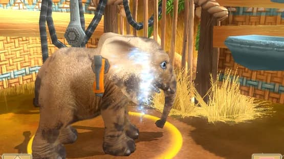 Wildlife Camp — Screenshots