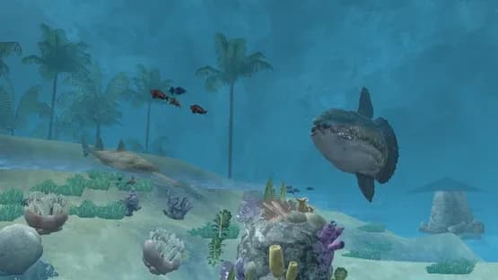 Wildlife Park 2: Marine World — Screenshots