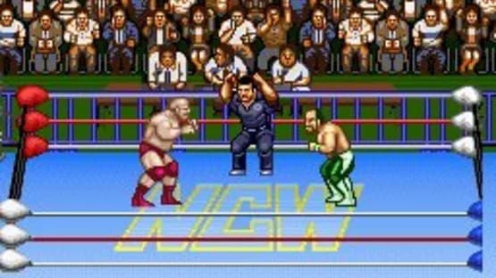 Natsume Championship Wrestling — Screenshoty