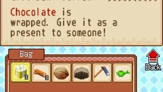 Harvest Moon DS: Grand Bazaar — Screenshoty