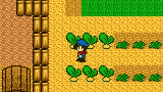 Harvest Moon GB — Screenshots