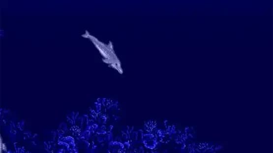 Ecco the Dolphin — Screenshots