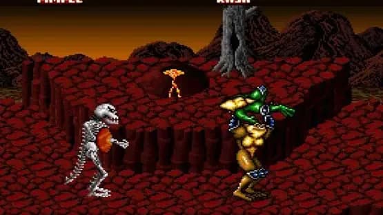 Battletoads In Battlemaniacs — Screenshoty