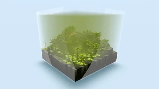 Fishery — Screenshoty