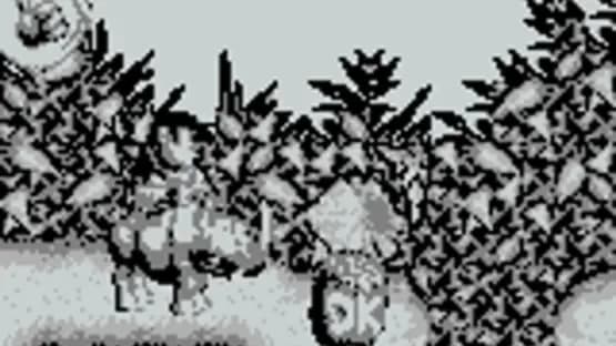 Donkey Kong Land — Screenshoty