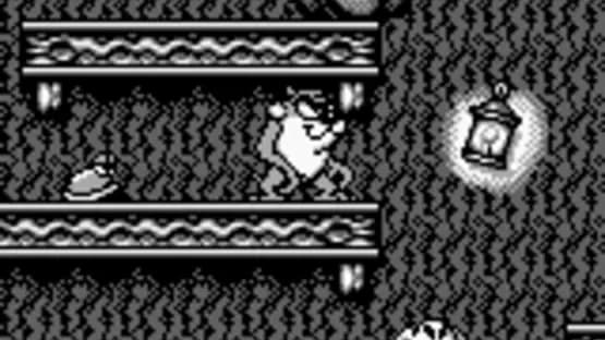 Taz-Mania — Screenshoty