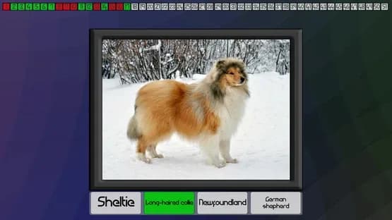 Test your knowledge: Dogs — Screenshoty