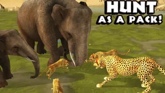 Cheetah Simulator — Screenshoty