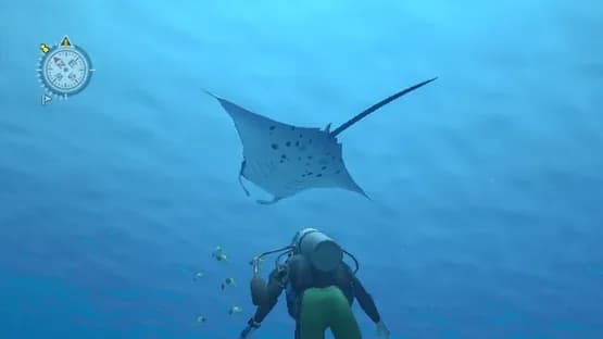 Endless Ocean — Screenshoty