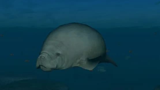 Endless Ocean: Blue World — Screenshots